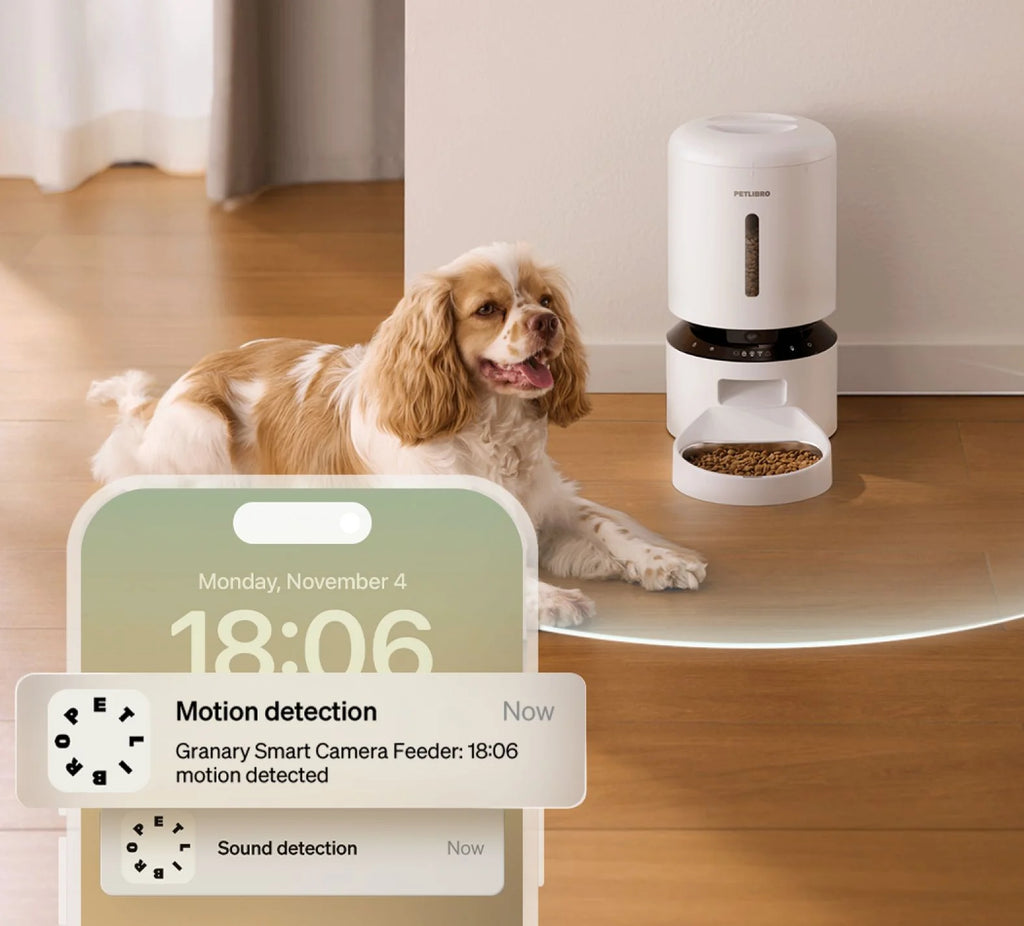 Auto Cat Feeder with 1080P HD Night Vision and 2-Way Audio - zency360.com ™️