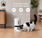 Auto Cat Feeder with 1080P HD Night Vision and 2-Way Audio - zency360.com ™️