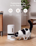Auto Cat Feeder with 1080P HD Night Vision and 2-Way Audio - zency360.com ™️