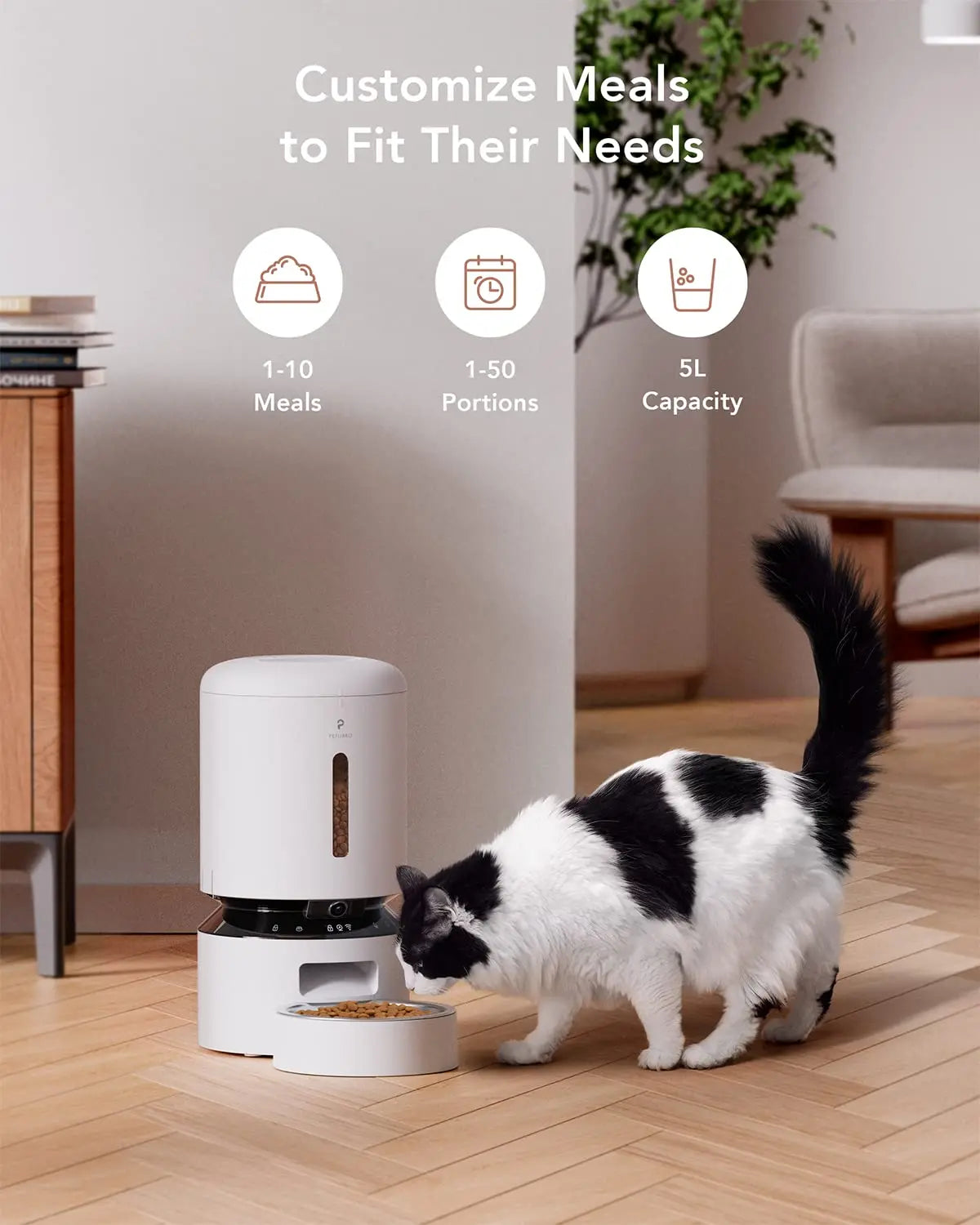 Auto Cat Feeder with 1080P HD Night Vision and 2-Way Audio - zency360.com ™️