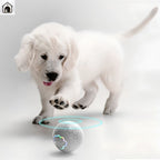 Smart Dog Toy Ball Electronic Interactive Pet Toy Ball USB Automatic Bouncing Rolling Toy Ball With RGB Lights Puppy Cat Product
